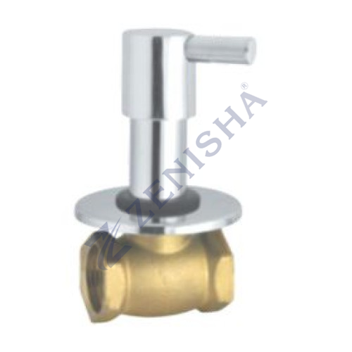 Flush Valve With Flange